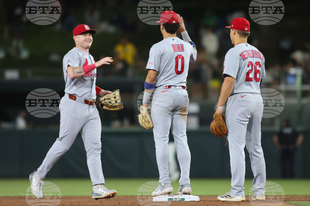 Cardinals Athletics Baseball