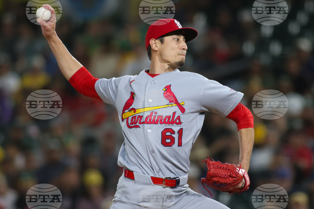 Cardinals Athletics Baseball
