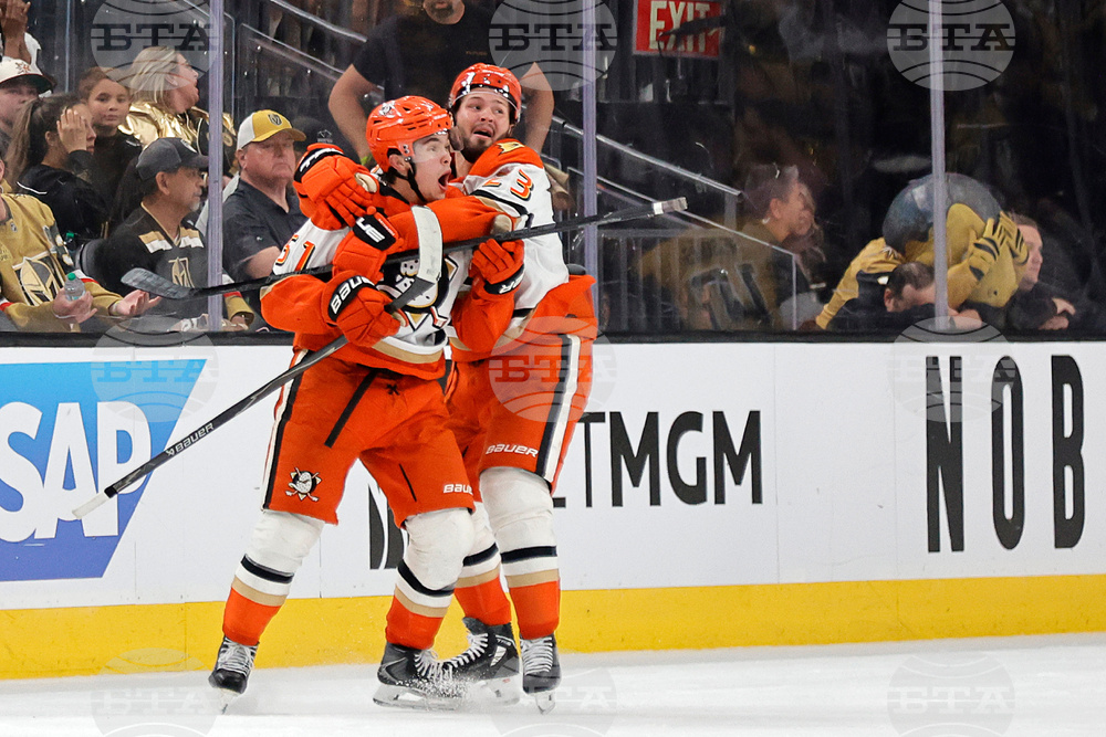 Ducks Golden Knights Hockey