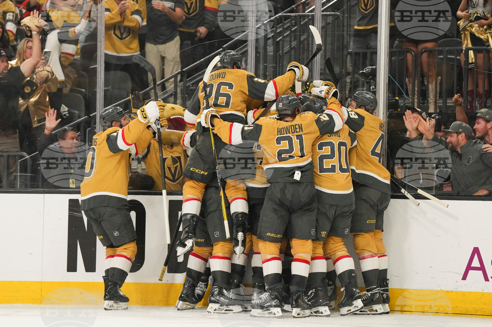 Ducks Golden Knights Hockey