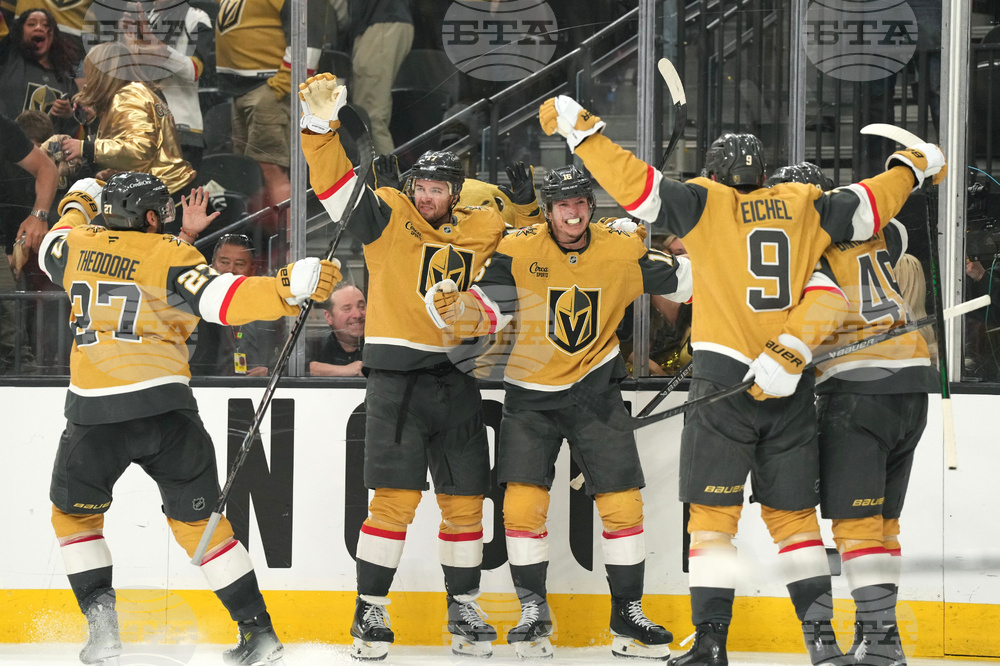 Ducks Golden Knights Hockey