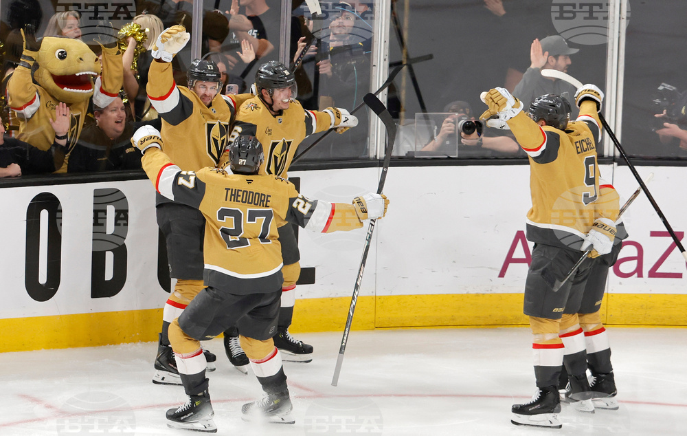 Ducks Golden Knights Hockey