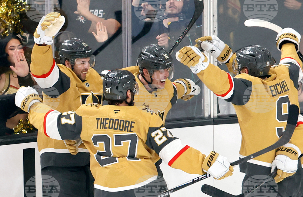 Ducks Golden Knights Hockey
