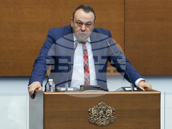 Народно събрание - заседание - Хамид Хамид