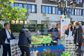 Видин - панорама на средното образование - форум