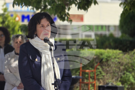 Видин - панорама на средното образование - форум