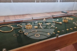 Плевен - Регионален исторически музей - пресконференция