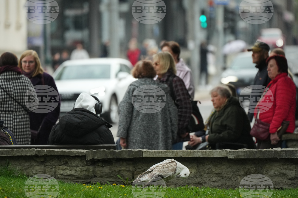 Estonia Daily Life