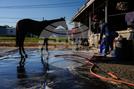 Preakness Stakes Laurel Park Horse Racing