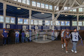 Preakness Stakes Laurel Park Horse Racing