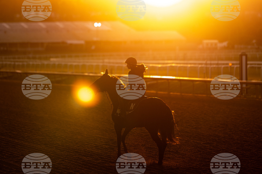 Preakness Stakes Laurel Park Horse Racing