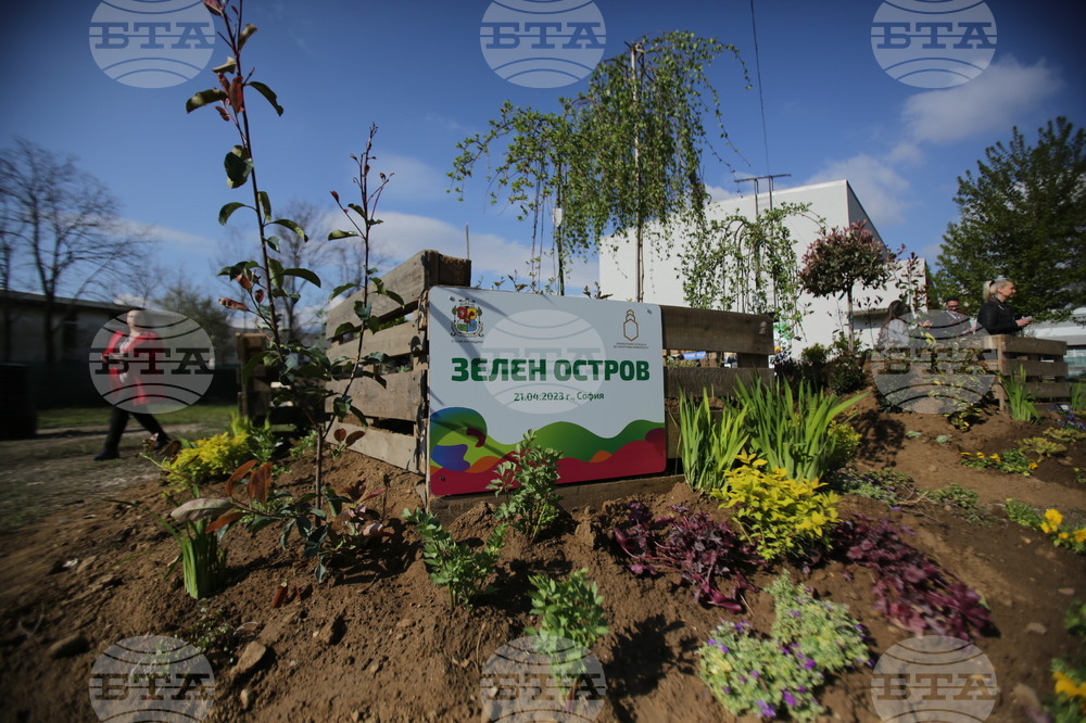 ХТМУ - Зелен остров - инициатива