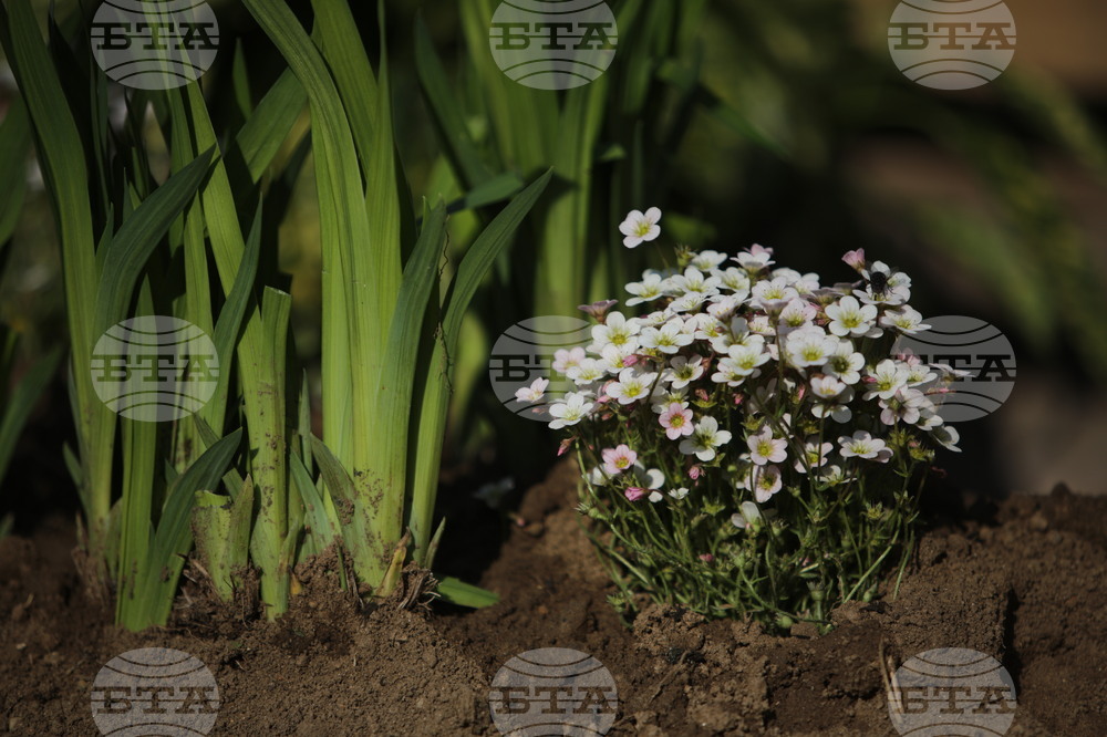 Общо 4000 компостера ще бъдат предоставени на домакинства в община Казанлък 