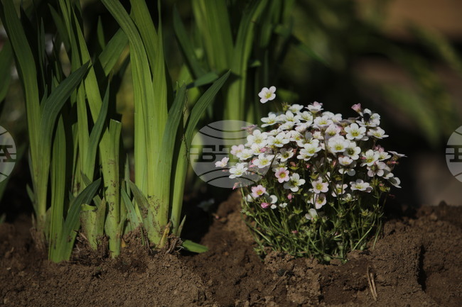 Общо 4000 компостера ще бъдат предоставени на домакинства в община Казанлък 
