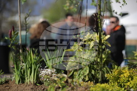 ХТМУ - Зелен остров - инициатива