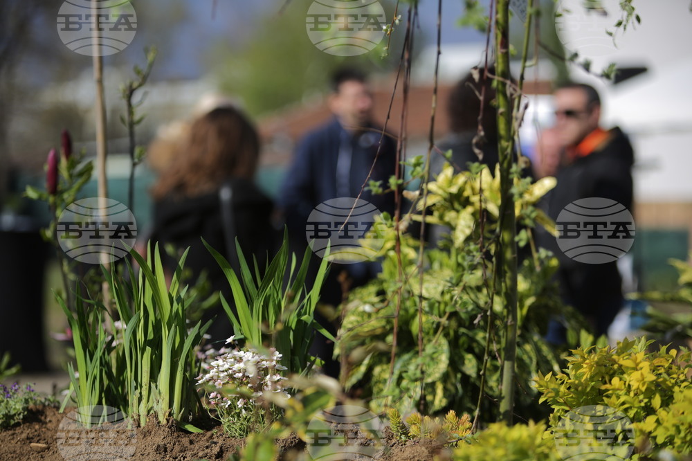 ХТМУ - Зелен остров - инициатива