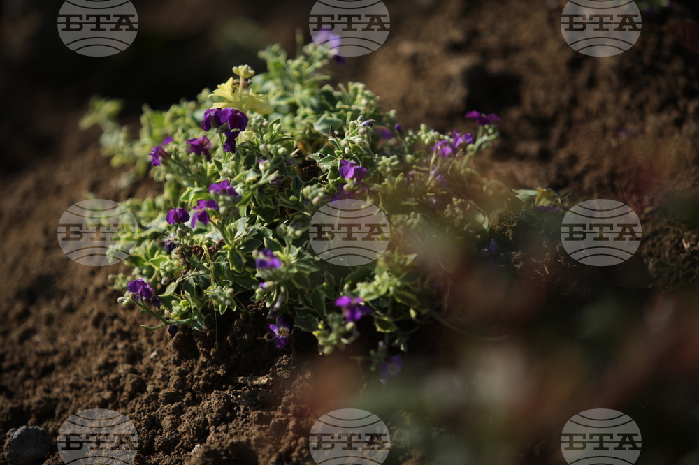 ХТМУ - Зелен остров - инициатива