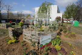 ХТМУ - Зелен остров - инициатива