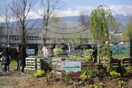 ХТМУ - Зелен остров - инициатива