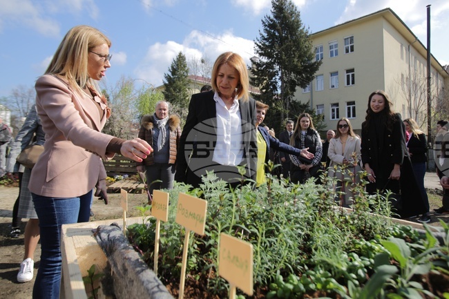 ХТМУ - Зелен остров - инициатива