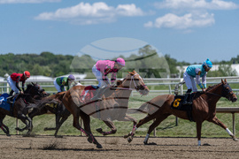 Preakness Stakes Laurel Park Horse Racing