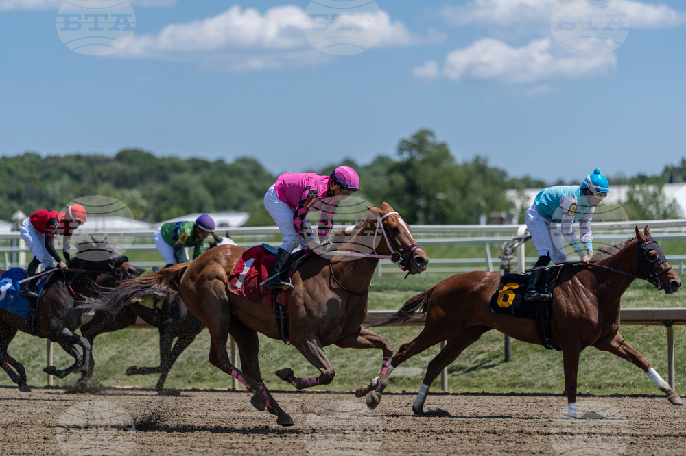 Preakness Stakes Laurel Park Horse Racing