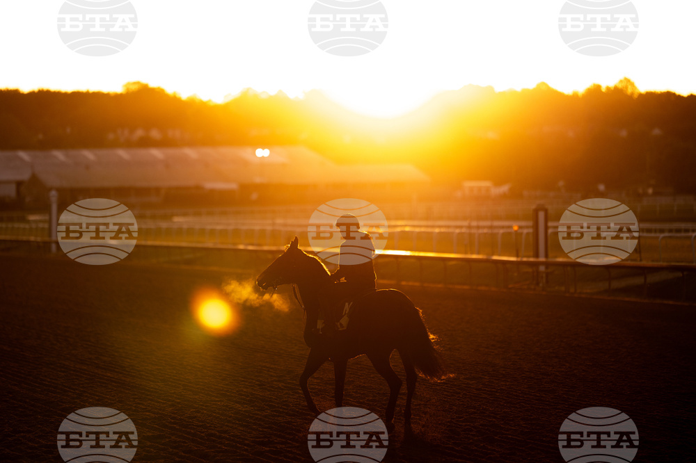 APTOPIX Preakness Stakes Laurel Park Horse Racing