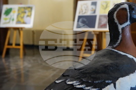 Пловдив - Световен ден на Земята - отбелязване