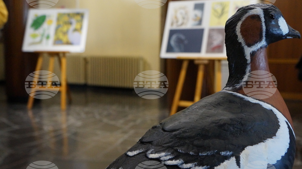 Пловдив - Световен ден на Земята - отбелязване