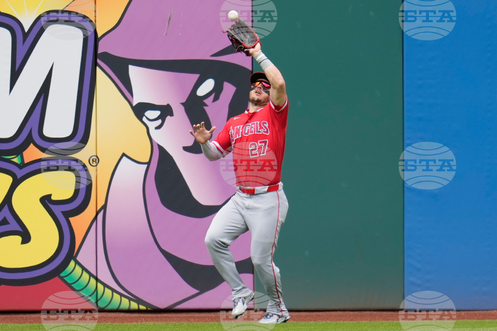 Angels Guardians Baseball