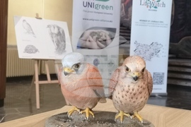  Пловдив - Световен ден на Земята - отбелязване