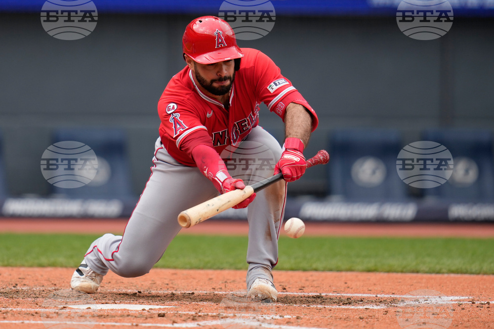 Angels Guardians Baseball