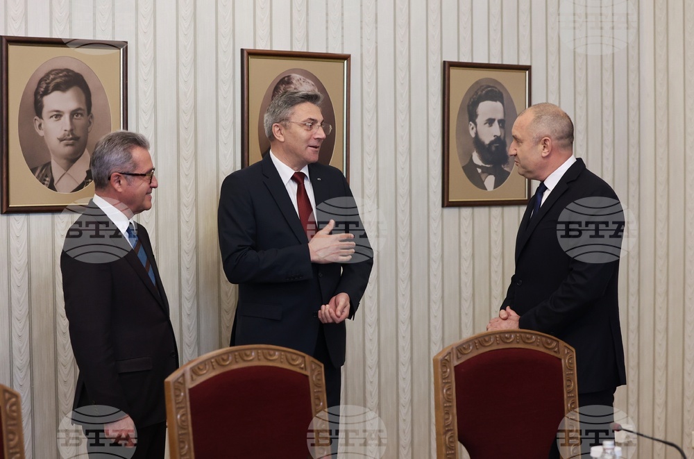 Румен Радев - ДПС - консултации