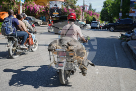 Haiti Daily Life