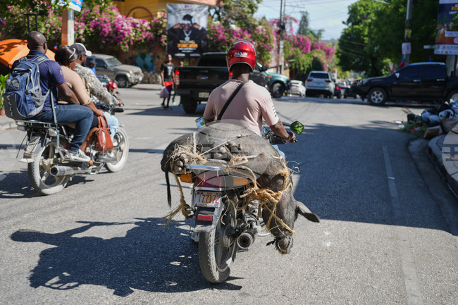 Haiti Daily Life