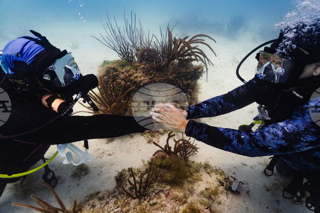 Slave Shipwreck Pilgrimage