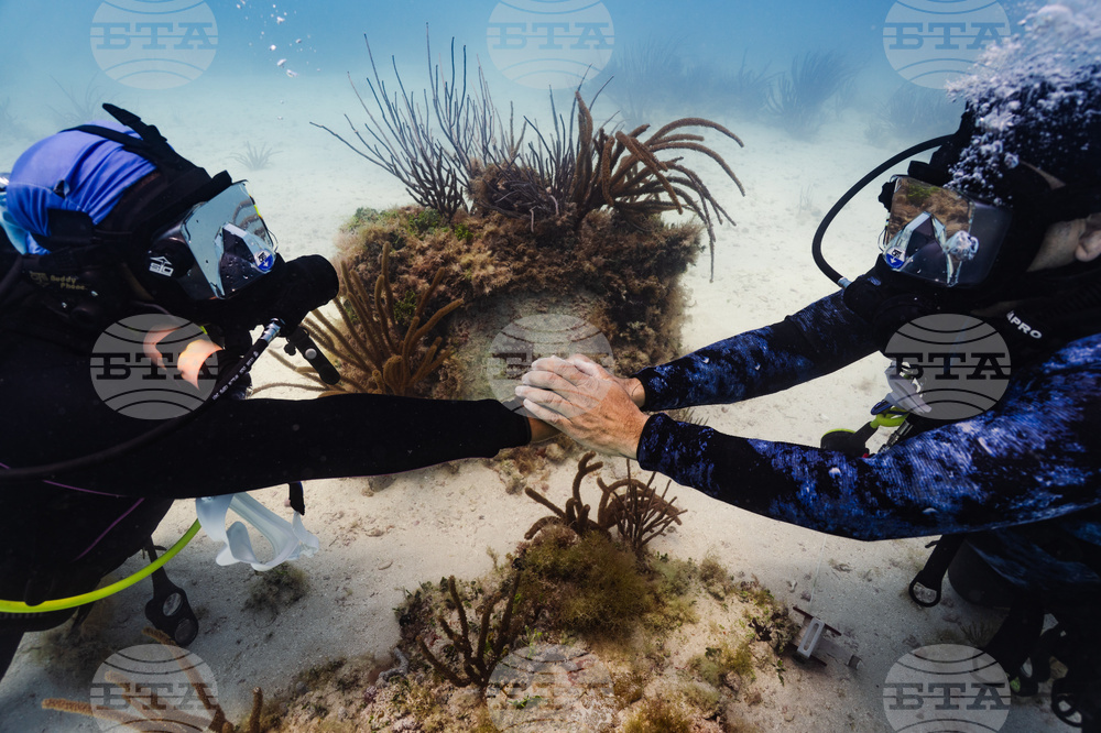 Slave Shipwreck Pilgrimage
