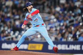 Rays BlueJays Baseball