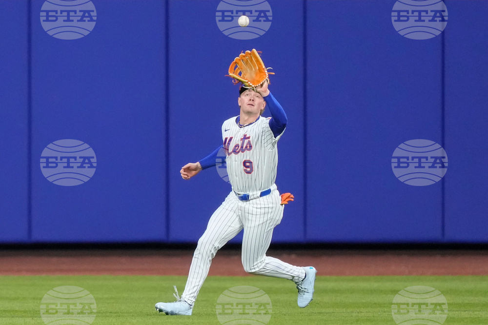 Tigers Mets Baseball