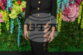 LA Premiere of "I Love Boosters"