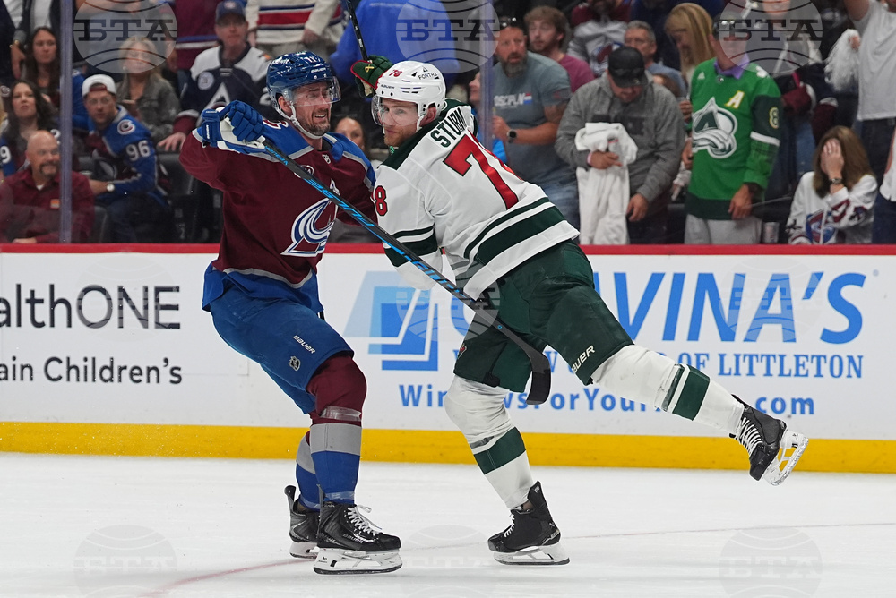 Wild Avalanche Hockey
