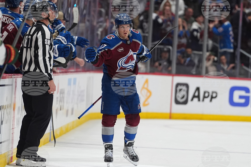 Wild Avalanche Hockey