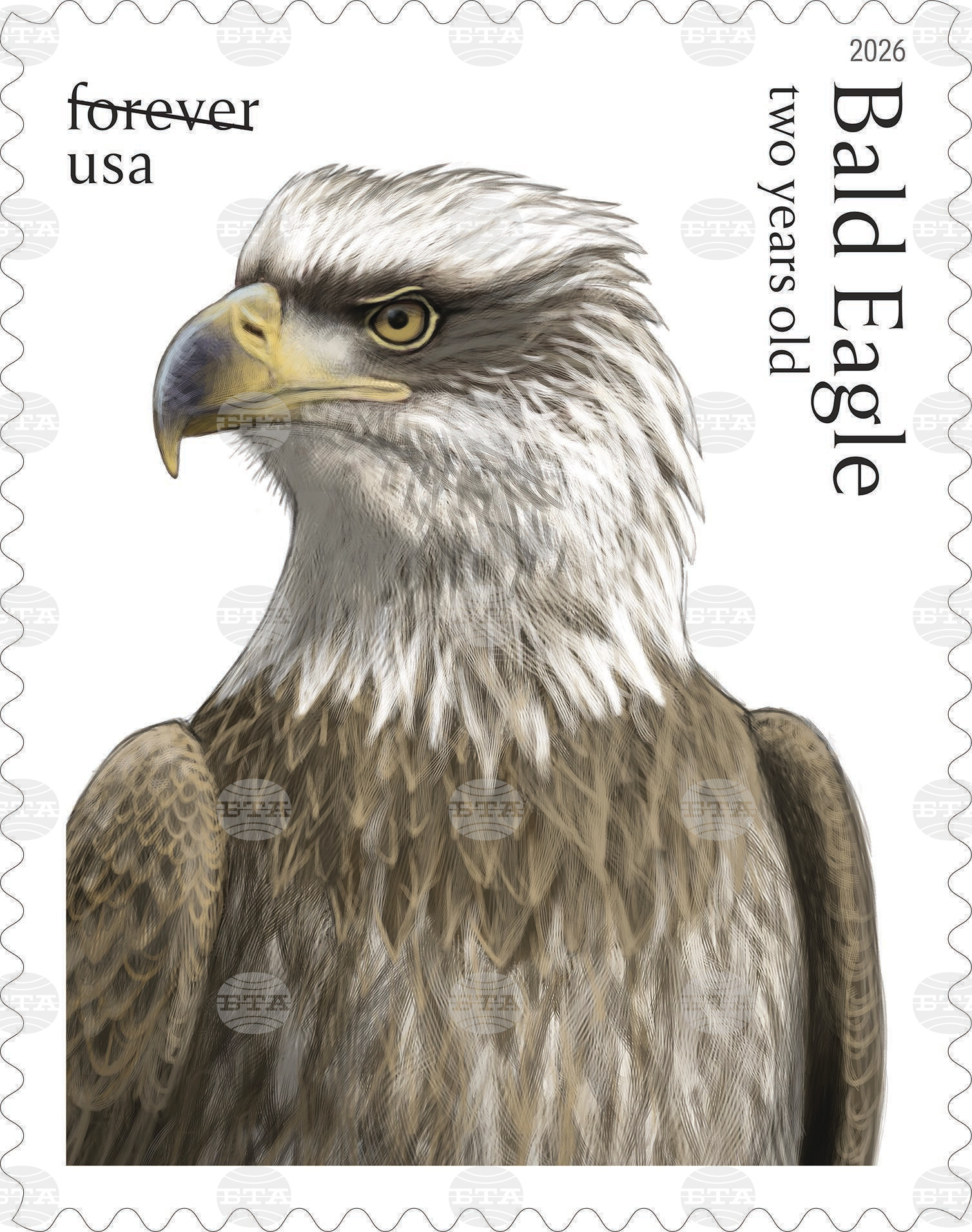 Eagle Stamps