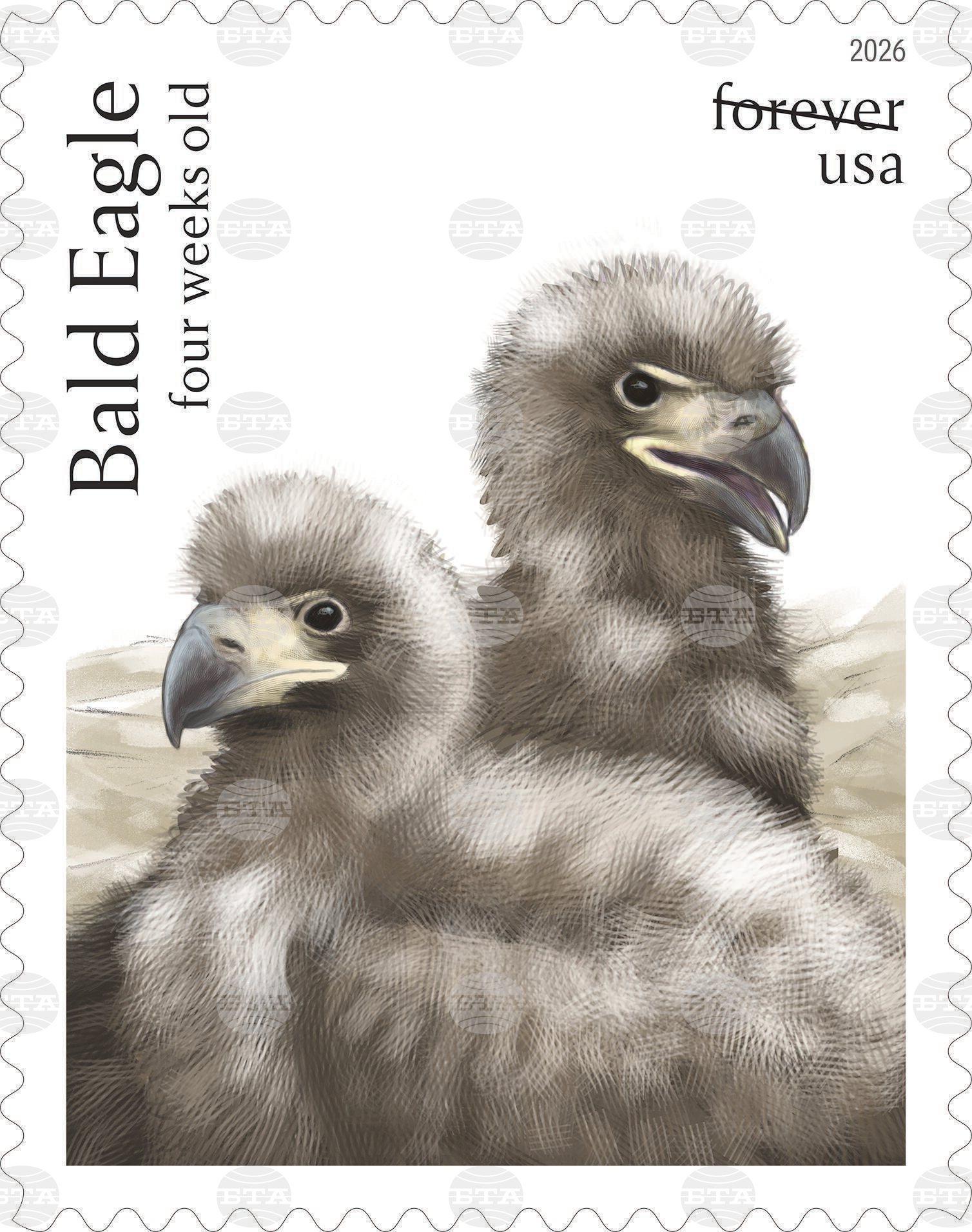 Eagle Stamps