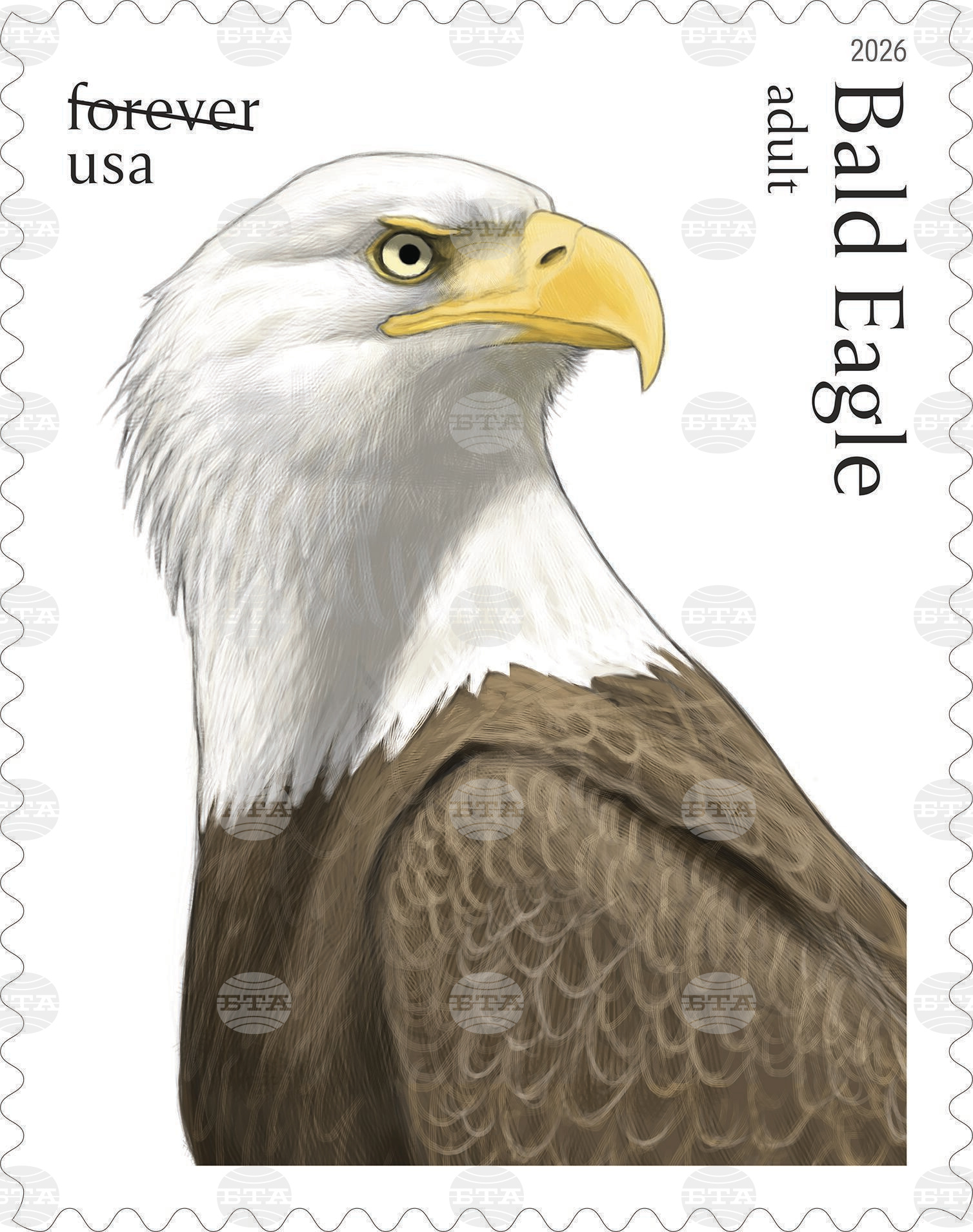 Eagle Stamps