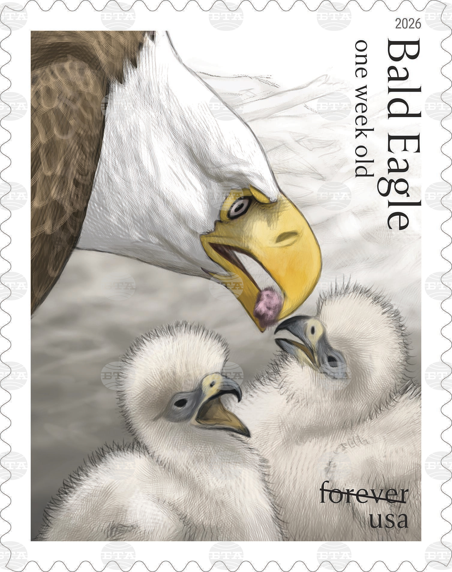 Eagle Stamps