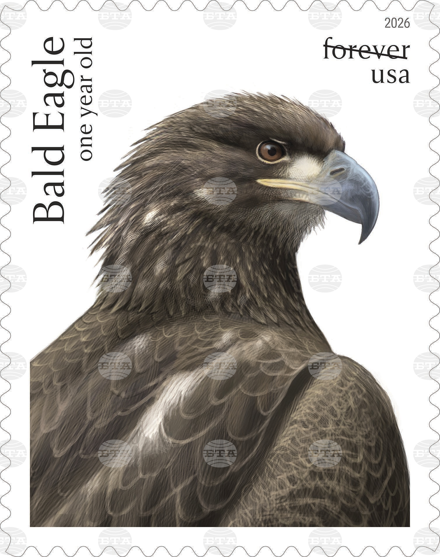 Eagle Stamps