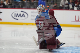 Wild Avalanche Hockey