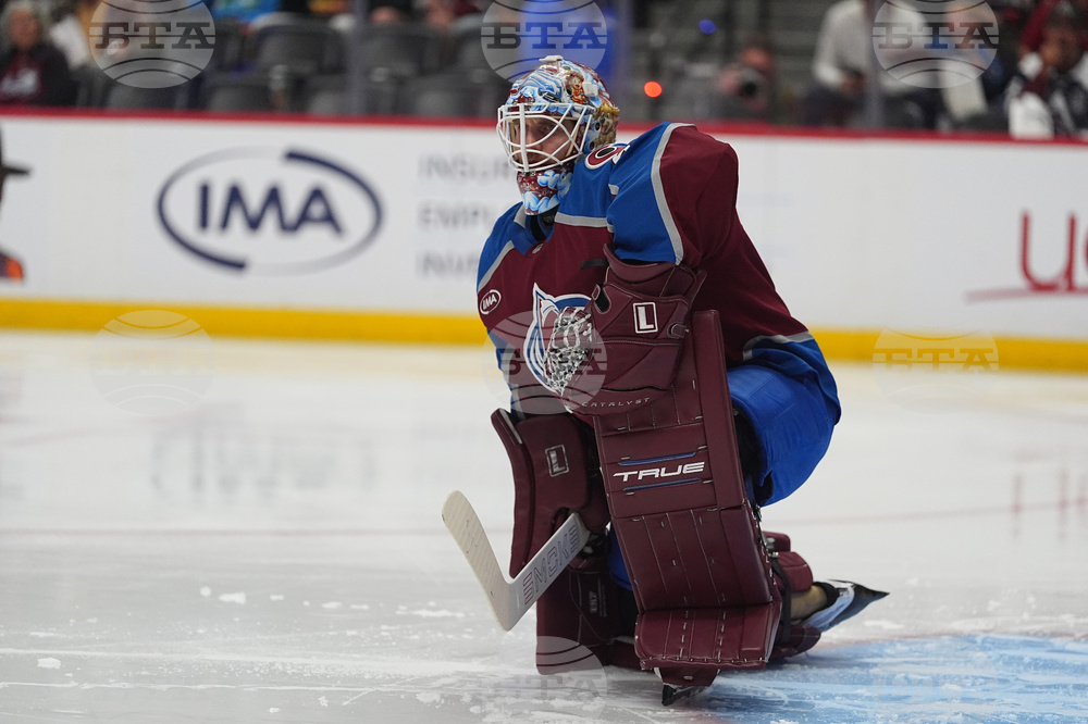 Wild Avalanche Hockey