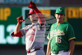 Cardinals Athletics Baseball